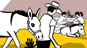 „Die Esel sind  Familienmitglieder“