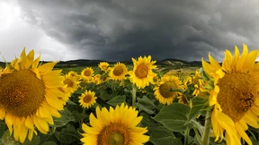 Deutschland steht zwischen einem Hoch und Tief