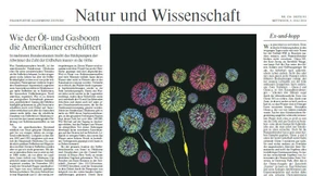 Verbrannte Laborerde