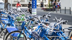 Massenhaft „Stehzeuge“