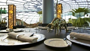 Da kann die Welt kaum Schritt halten