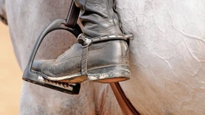 Warum der Pferdesport über die „Blutregel“ streitet