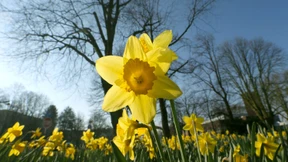 Hessens Osterwetter fällt gemischt aus