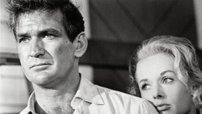 Der Mann der „Vögel“ 