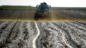 Die Crux mit dem gesunden Gift