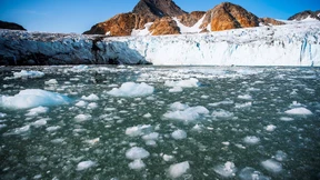 Wie steht es ums Eis?