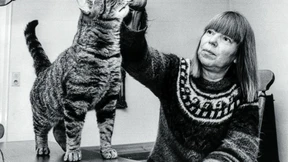 Die Revolution erreicht Tielenhemme