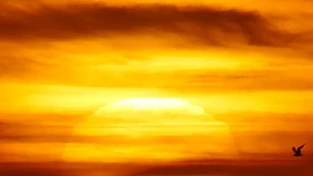 Die Kurven der globalen Krise