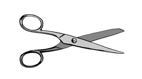 Bis alle Worte Fleisch geworden sind