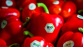 Keine besonderen Schadstoffgrenzwerte für Biolebensmittel