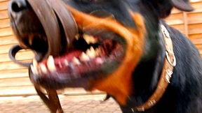 Spielt er oder killt er?