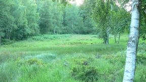 Auf den Spuren der Nibelungen