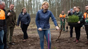 Klöckner will mehrere Millionen Bäume pflanzen