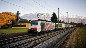 Der Schnellzug und seine Feinde