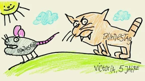 Ohne Respekt vor dem Bundesrat