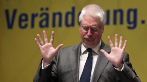 Hahn: FDP wird überleben