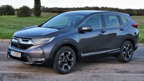 Benzin für die Batterie