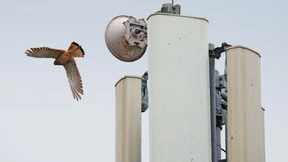 1&1 soll sich sputen