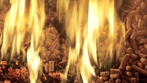 Heizen mit Holz – ein Holzweg