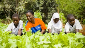 Wir brauchen mehr Vitamin A