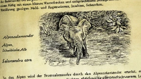 Das Ende der parlamentarischen Öffentlichkeit?