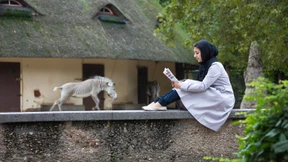 Jeder zweite bestellt Bücher im Netz