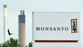 Bayer erhöht Milliarden-Offerte für Monsanto 