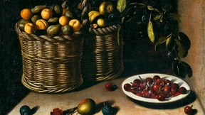 Triumph der Weisheit über die Dummheit