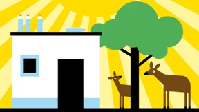 Sonne sorgt für Sauberkeit