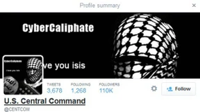 Hackerangriff auf das Pentagon 