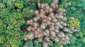 Winterzeit für den Waldschutz
