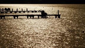 Seehofer loswerden. Für immer.