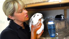 Die Suche nach dem Nager-Paradies