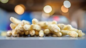 Die Zeit der jungen Triebe