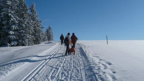 Raus aus der Nebelsuppe!