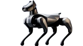 Die Flieger sind wieder da