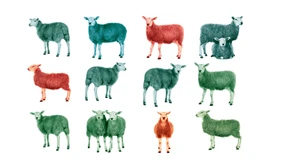 Warum es keine Herdenimmunität geben wird