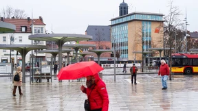 Die Rückkehr des Rüsseltiers