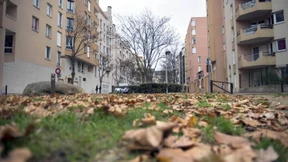 Von dumpfem Hass getrieben 