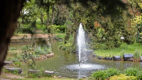 Prozess um Tod eines kleinen Jungen