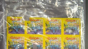 Größter LSD-Fund in Deutschland