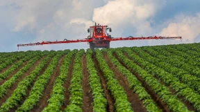 Nabu sieht Arten- und Klimaschutz auf dem Vormarsch