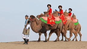 Feldforschung mit Satelliten