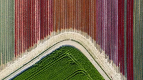 Wie sehr unsere Böden mittlerweile unter Druck stehen