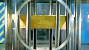 Barren, Blüten und Banker