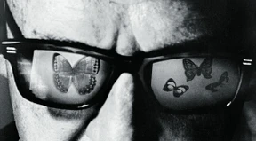 Allein unter Deutschen