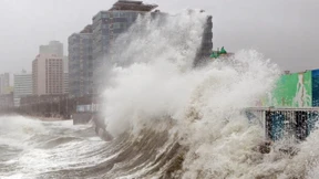 Im Herzen der Sprache