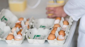 Spur im Eier-Skandal führt nach Rumänien