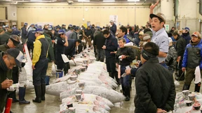 Thunfisch für fast 300.000 Euro