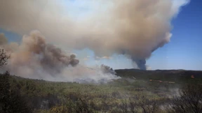 Offenbar 18 Migranten bei Waldbrand getötet